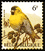 Belg bird