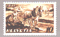 Swiss horse